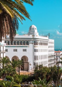 Alger jardin de l'horloge fleurie