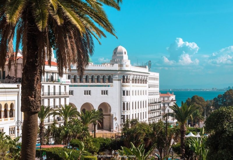 Alger jardin de l'horloge fleurie