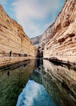 Gorges d’Ein Avdat