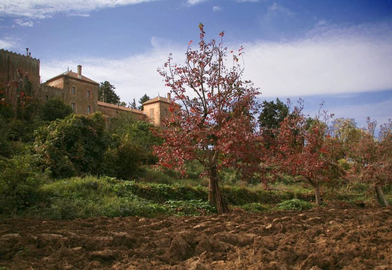 Monastère de Tibhirine