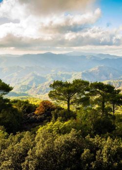 Troodos