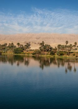 Palm,Trees,And,Greenery,Reflecting,On,The,Nile,River,With